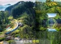 80足球比分网-探秘80足球比分网，球迷的掌上观赛宝典与数据宝藏库
