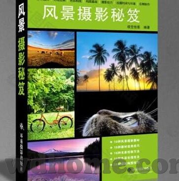 盈球足球比分网-盈球足球比分网，球迷的赛事信息百宝箱与足球文化传播新阵地