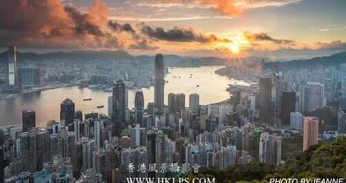 足球比分电视直播-足球比分电视直播,绿茵场上的心跳同步器