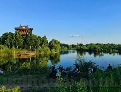 足球比分 球队身价排行-足球世界里的身价密码，从球队身价排行看比分背后的经济博弈