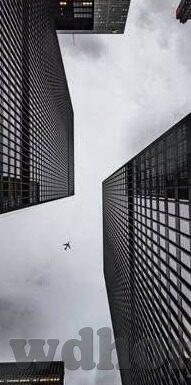 足球比分直播今日-足球比分直播今日，绿茵场上的实时心跳