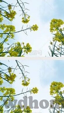 足球即时比分90vs直播-足球即时比分90vs直播,开启足球狂欢的数字钥匙