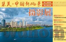 足球走地比分网-深度揭秘，足球走地比分网——球迷的实时战场与数据宝库